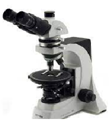 Image Pour Site Microscope